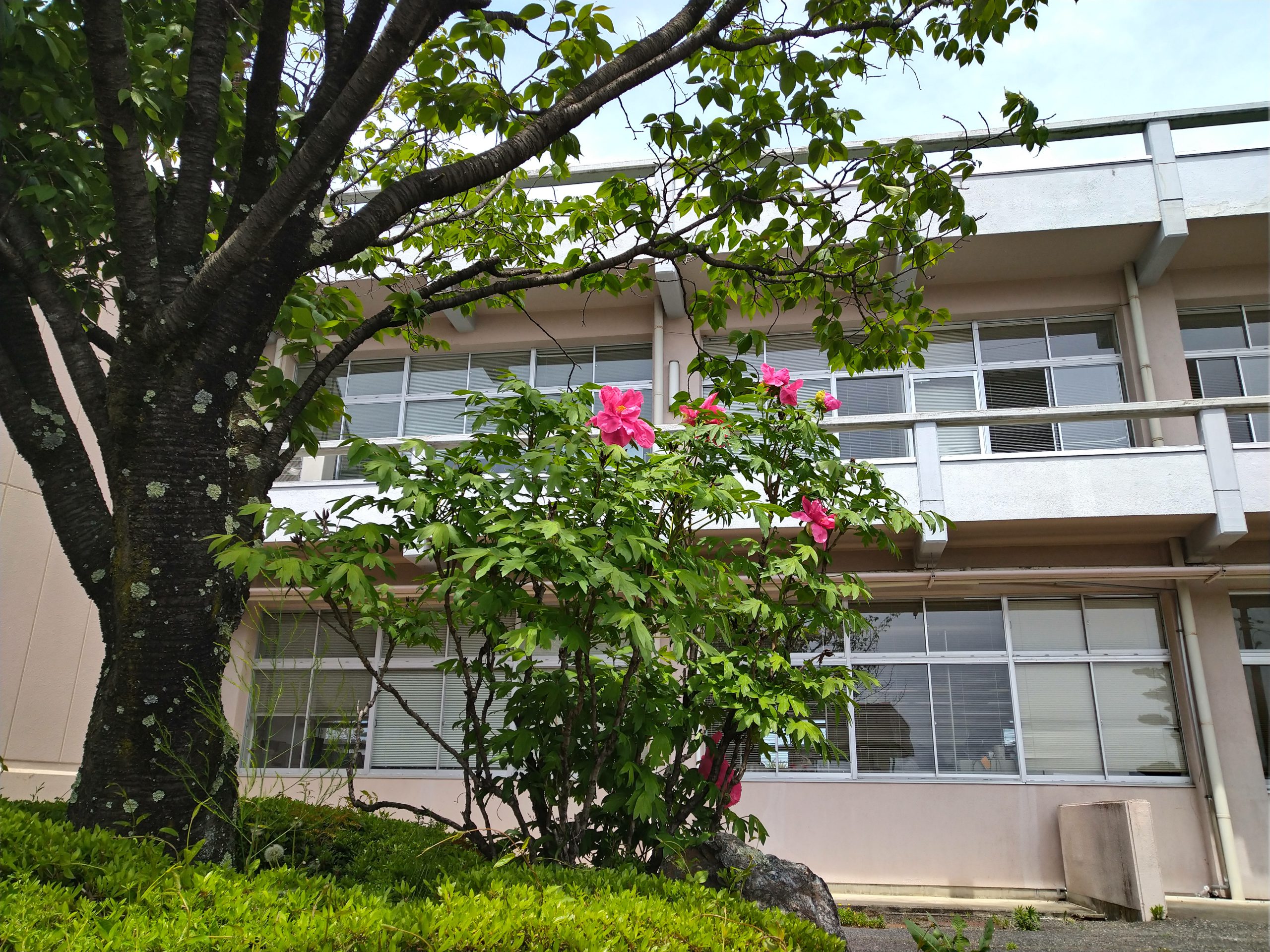 障害者相談支援センター「中信」