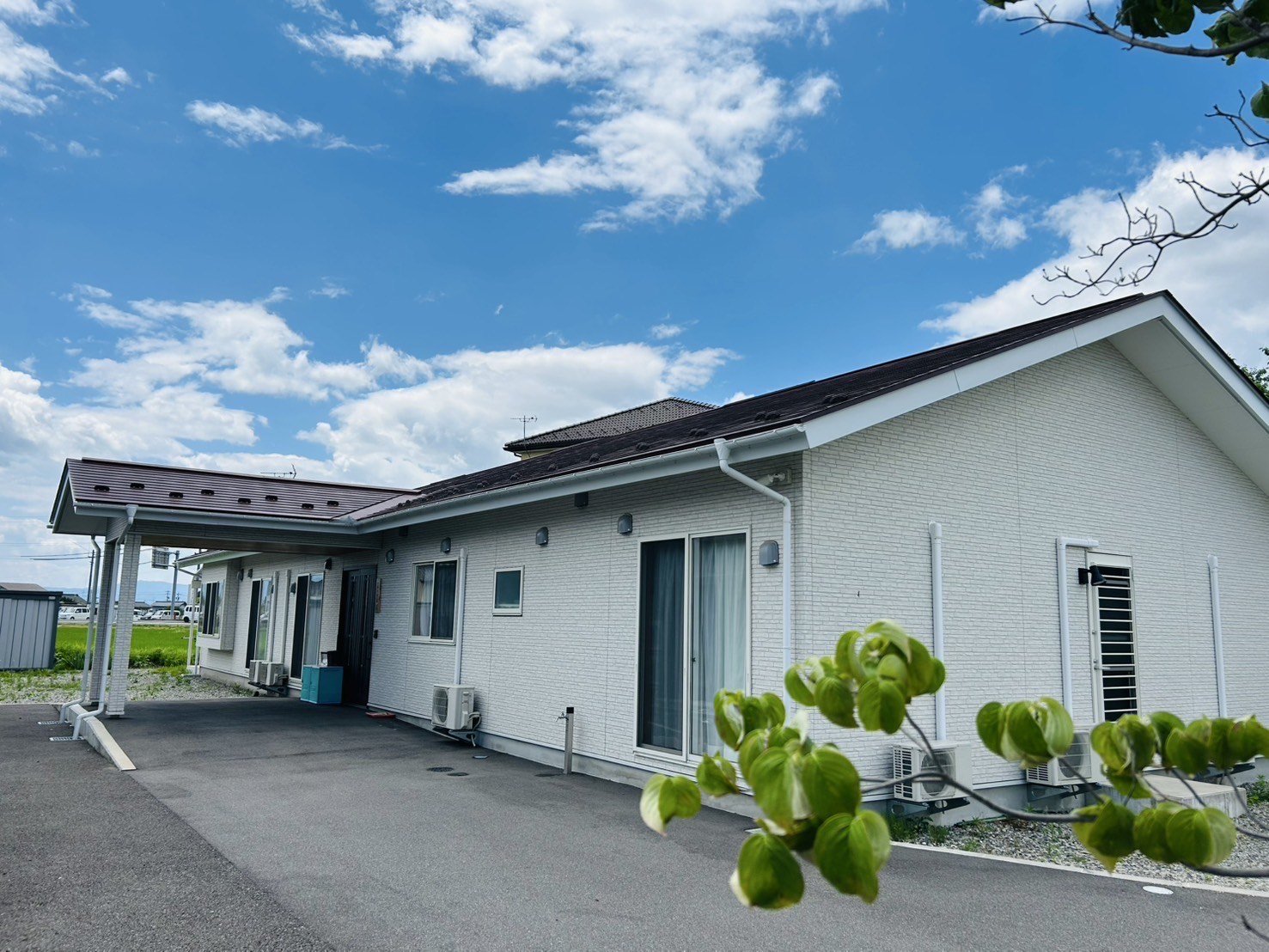 あさがお